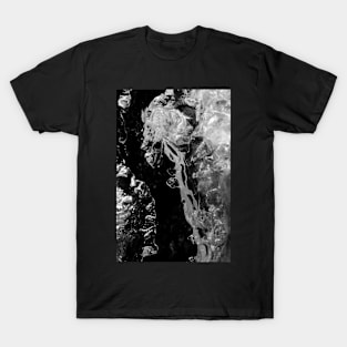 Ice Imagination T-Shirt